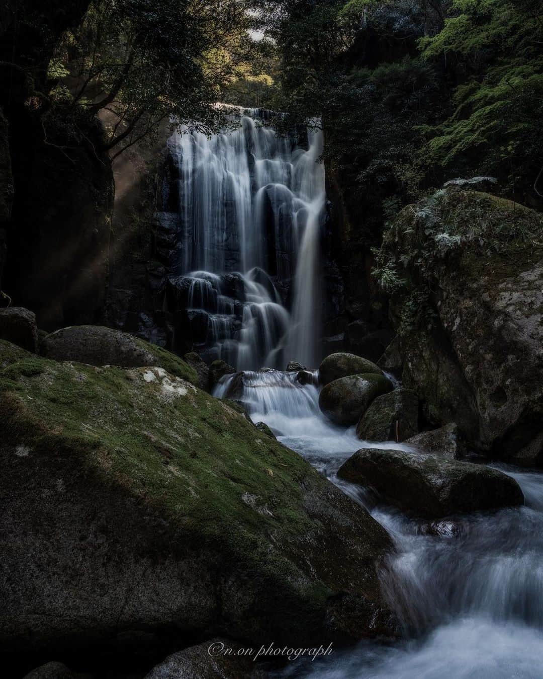 Visit Wakayamaのインスタグラム：「. Explore the lush surrounds of Kuwanoki Falls after the rain. Breathe in the fresh forest air, and listen to the roar of the water. 📸 @n.on_jp 📍 Kuwanoki Falls, Wakayama」