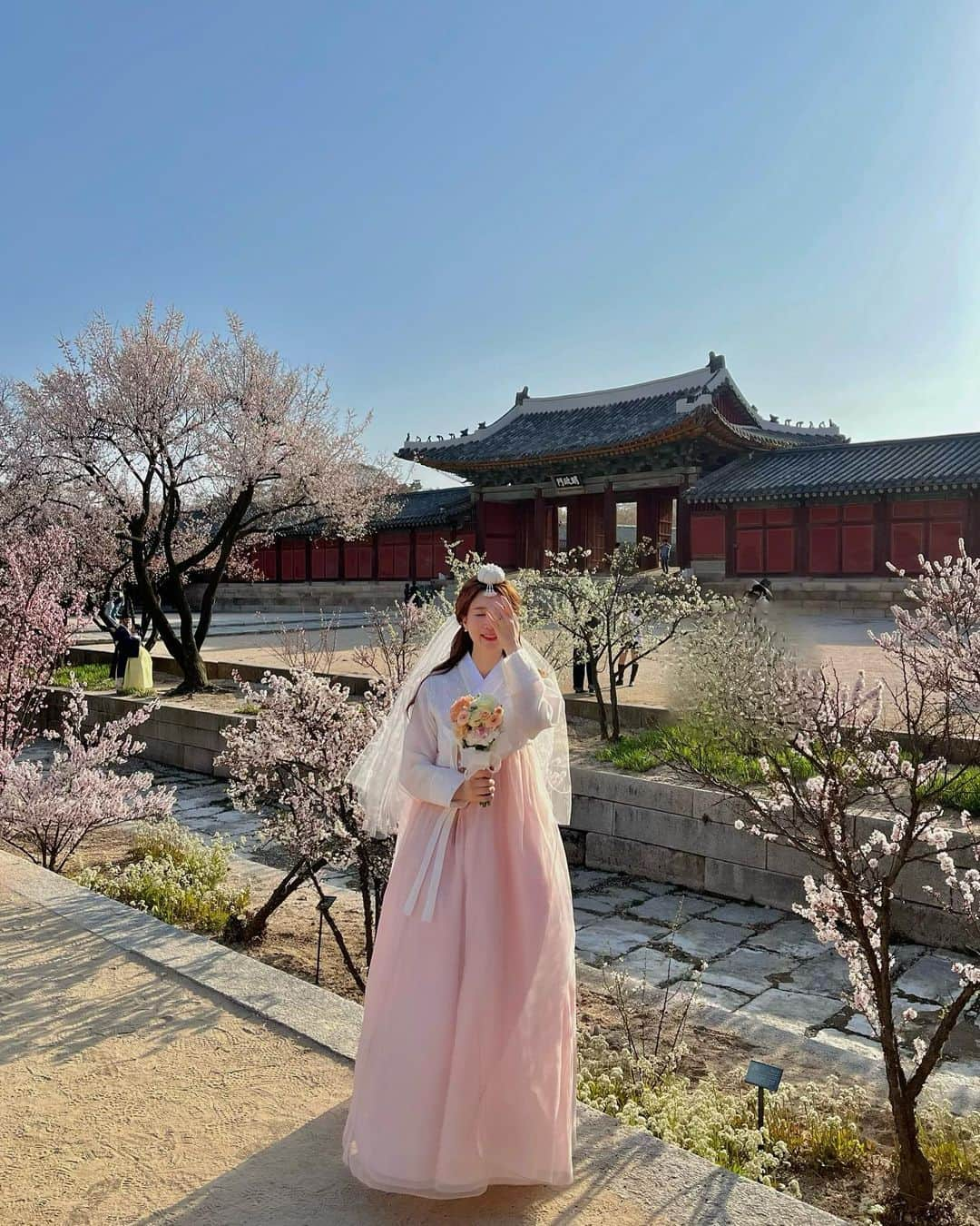 インソクさんのインスタグラム写真 - (インソクInstagram)「🌸벚꽃피었던 창경궁   #cherryblossom #seoultravel #changgyeonggung #hanbok #seoulsnap #koreacouple #벚꽃 #창경궁 #창경궁스냅 #커플한복 #커플한복스냅 #신혼부부 #신혼웨딩 #웨딩스냅 #한복스냅 #신혼생활 #벚꽃명소 #벚꽃스냅 #신혼부부 #桜」4月26日 18時23分 - soku_sokus