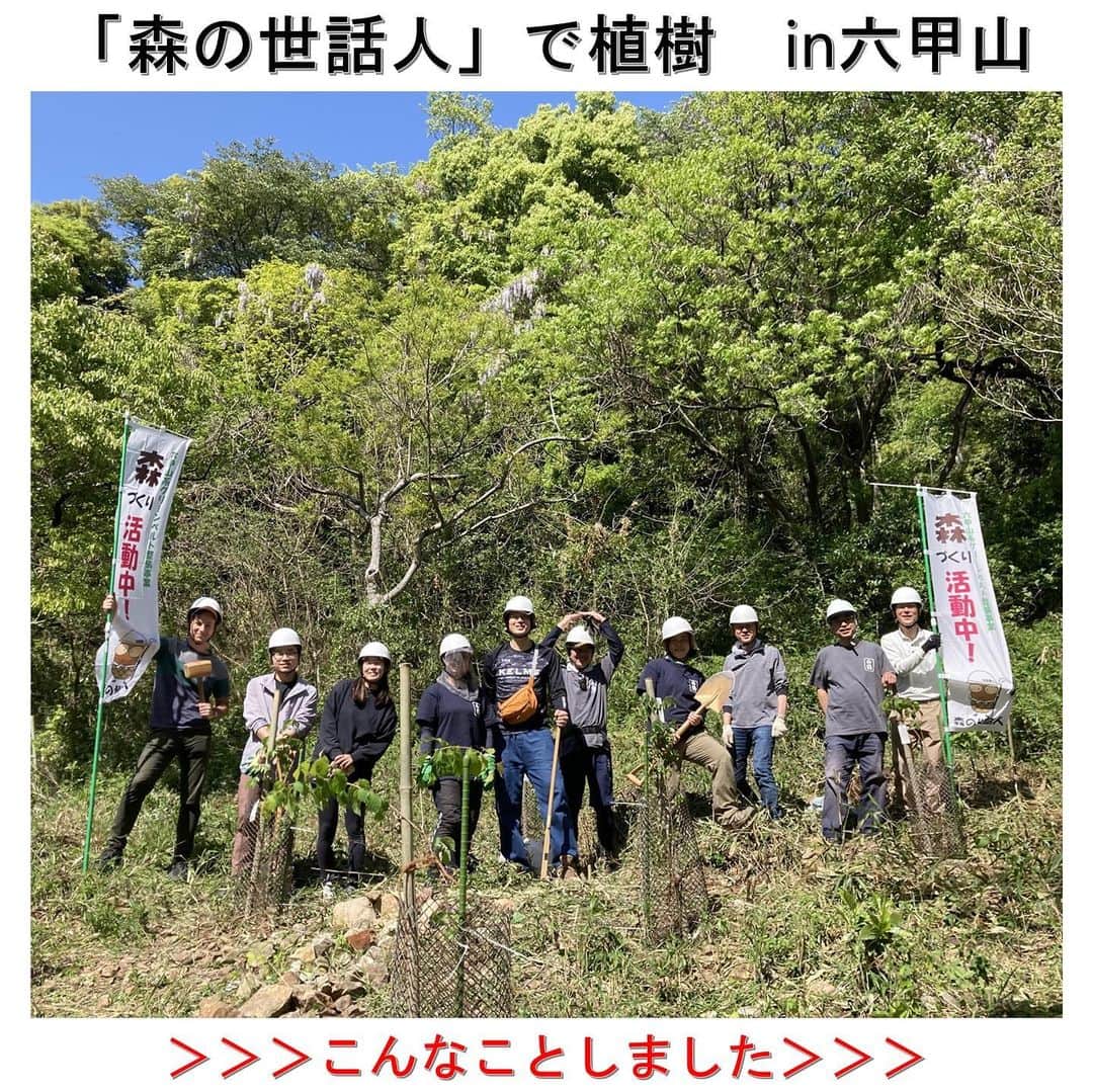 白鶴酒造株式会社のインスタグラム：「🌳 【#森の世話人】 4月22日（土）に「森の世話人」活動の一環で 当社として初めて六甲山に #植樹 を行いました。 2021年12月に活動を始めて1年たち6回目の活動で、 ようやくここまでこれました！  植林しても半分ほどは枯れてしまうそうで 無事育つか心配ですが、 定期的に草刈りをしながら 見守っていきたいと思います。  今回は「認定NPO法人 まなびと」の スタッフや留学生たちも協力してくださいました！  #白鶴 #hakutsuru #六甲山」