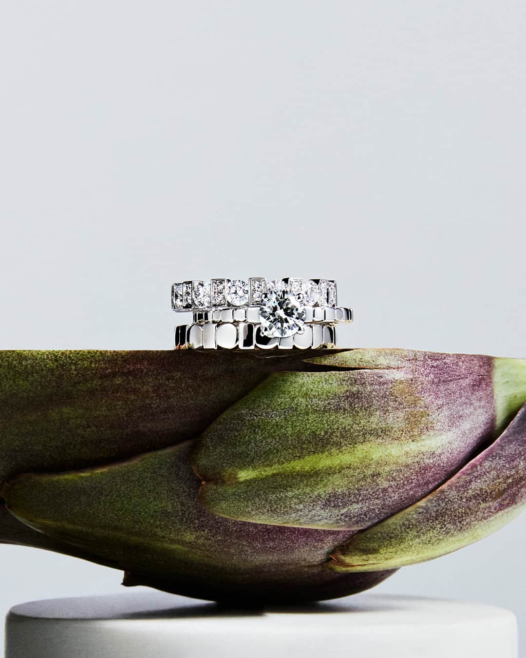 ダミアーニのインスタグラム：「Interlocking of love! The Bridal rings from the #DamianiBelleEpoque collection are truly unique and perfectly stackable.  #TastetheItalianExcellence #Damiani #Handmade #MadeInItaly」