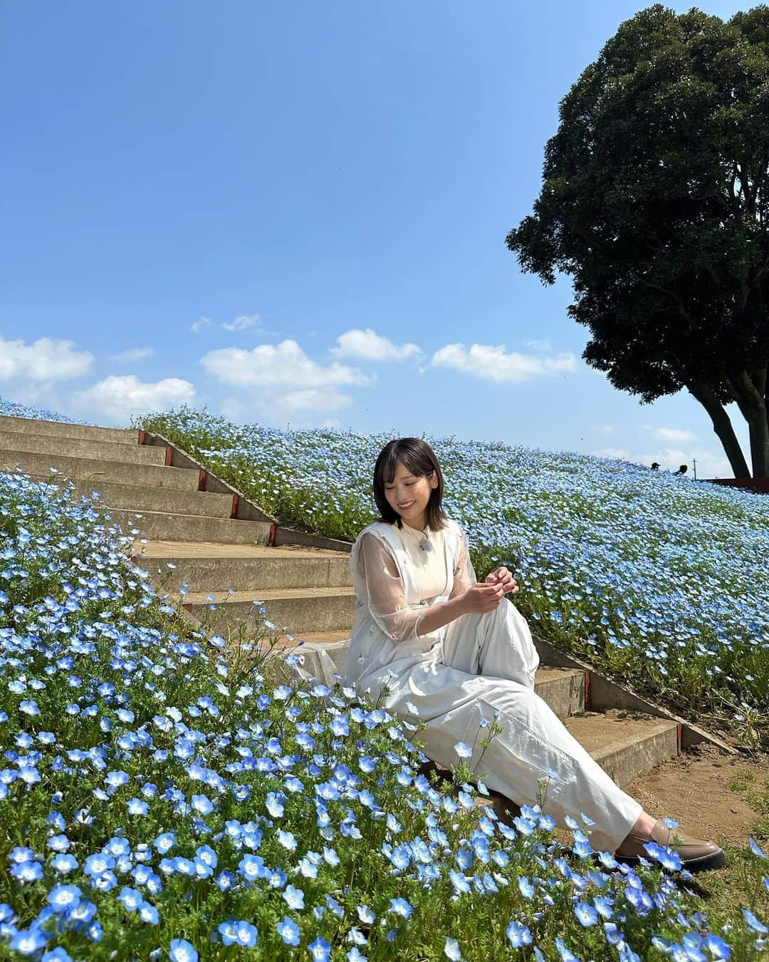 二宮芽生さんのインスタグラム写真 - (二宮芽生Instagram)「『キテルネ！』ご視聴ありがとうございました☺️ ネモフィラ畑、綺麗だったー。  チュールの袖にちょうどネモフィラみたいな刺繍があっていい感じ💠  🕴@uratiayara   念願のあらやさんコーデ。 去年購入していた、新しいオーバーオールに合わせて頂きました☺︎  動きやすいし、涼しいし、可愛いしお出かけのモチベーションあがっちゃうね😌♡  #イタル_デザイン #ZIP #キテルネ」4月26日 18時31分 - meuninomiya