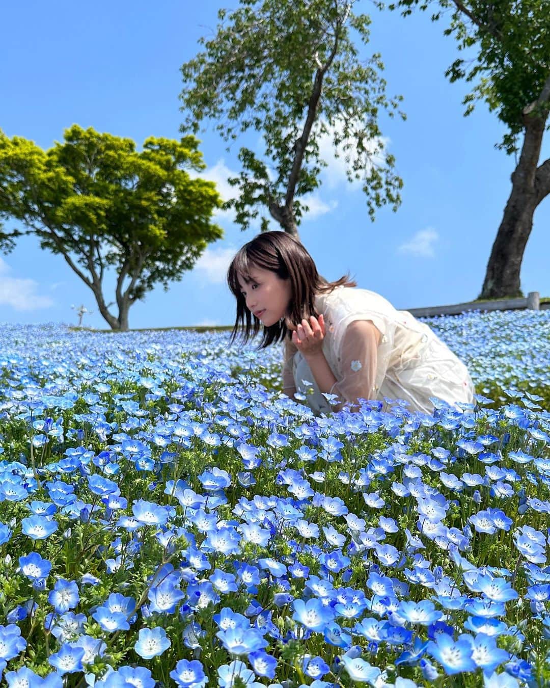 二宮芽生のインスタグラム：「『キテルネ！』ご視聴ありがとうございました☺️ ネモフィラ畑、綺麗だったー。  チュールの袖にちょうどネモフィラみたいな刺繍があっていい感じ💠  🕴@uratiayara   念願のあらやさんコーデ。 去年購入していた、新しいオーバーオールに合わせて頂きました☺︎  動きやすいし、涼しいし、可愛いしお出かけのモチベーションあがっちゃうね😌♡  #イタル_デザイン #ZIP #キテルネ」