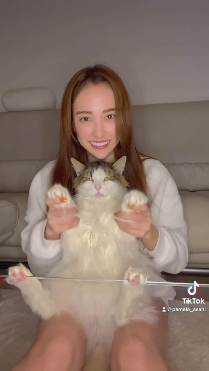 眞木美咲パメラのインスタグラム：「He doesn't care I guess.  ふにゃん 踊ってやってる感😑 肉球可愛くてたまらん  tiktokもたまには更新してくよ 最近美容頑張ってるから肌もちもちつるつるー🥹 今日もレーザートーニング行ってきました また載せるねん  #catdance #ノルウェージャンフォレストキャット　#cat  #猫」