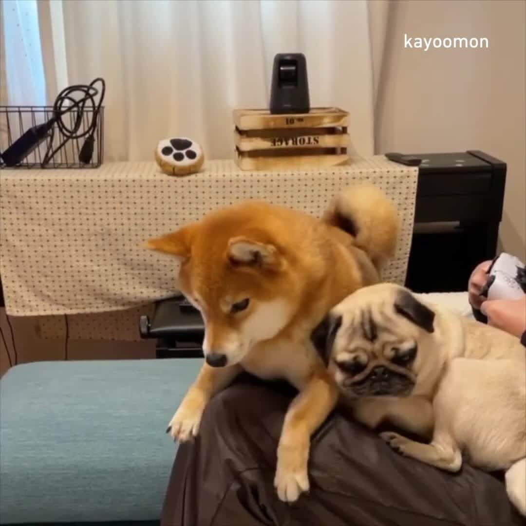 9GAGのインスタグラム