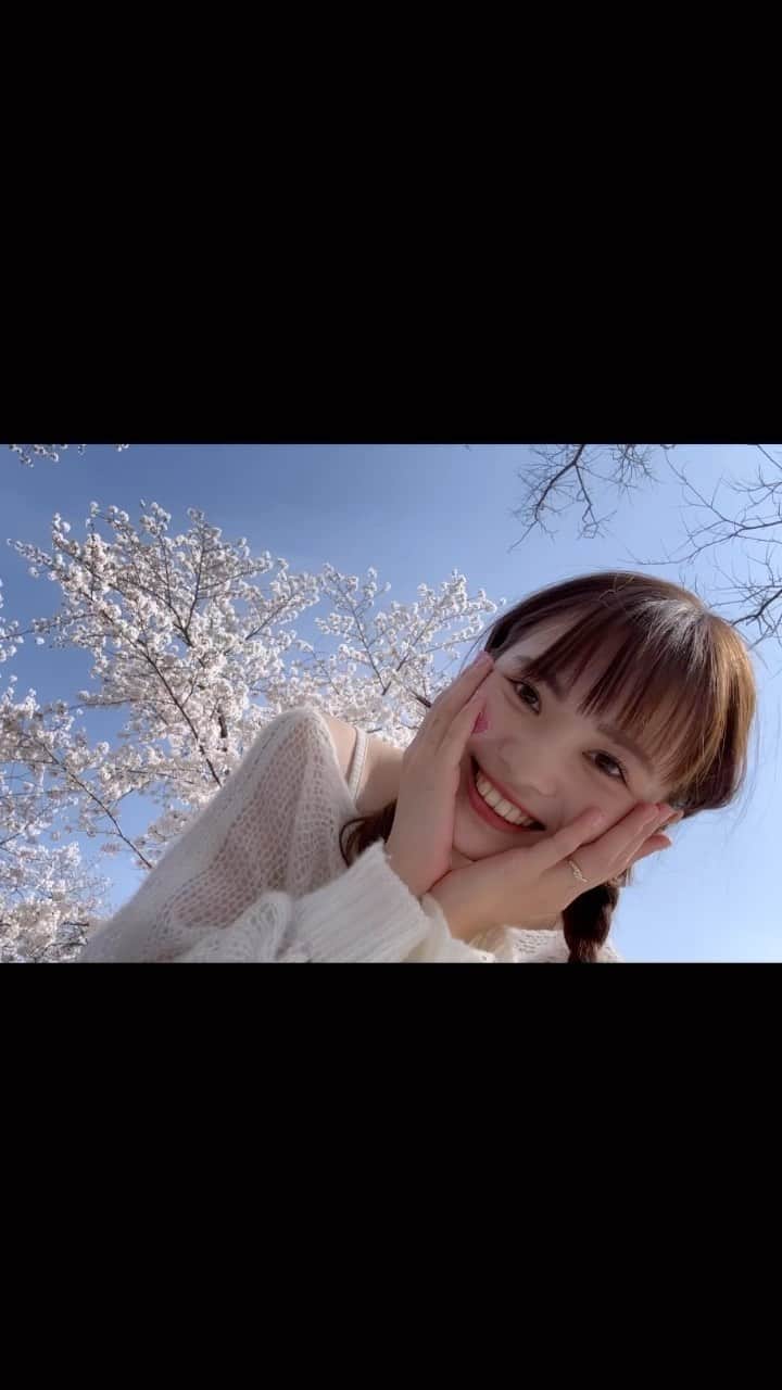 のインスタグラム：「🌸🌸🌸 甘党すぎてケーキワンホールなんて一瞬だよ^_^  #おしゃぴく  #オシャピク  #ケーキ作り」
