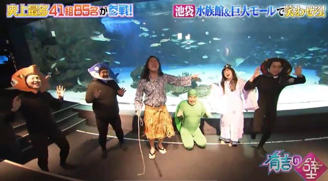 蛭川 慎太郎のインスタグラム：「ピラニア、ホオジロザメ、電気ウナギも喜んでるカメ〜🐢 #有吉の壁 #竜宮城」