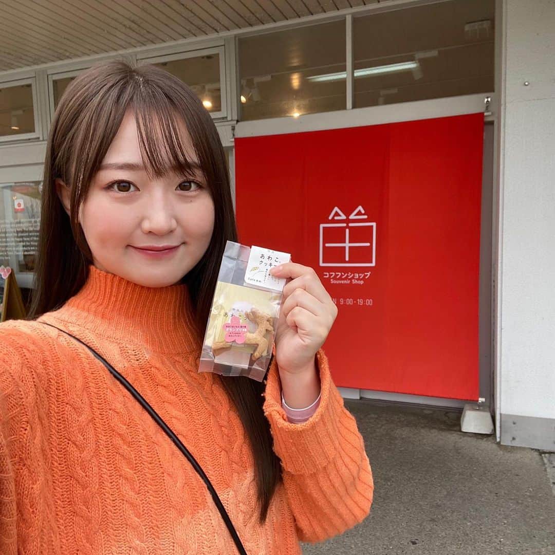 上野貴穂さんのインスタグラム写真 - (上野貴穂Instagram)「. コフフンショップで 鹿さんクッキーを買いました🦌💕  コフフンショップ、置いてある商品が面白くって 天理に行くたびに寄っちゃう👣 ⁡ #奈良 #あわこクッキー」4月26日 20時01分 - kiho_ueno