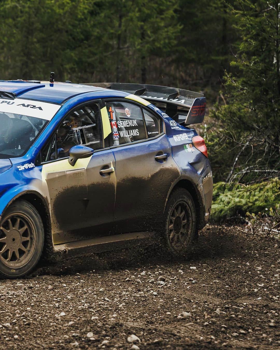 Subaru Rally Team USAさんのインスタグラム写真 - (Subaru Rally Team USAInstagram)「🌎 Subaru Loves the Earth…so much we put it on our rally car.  #subaru #subarulovestheearth #subielove #rally #motorsport #pnw #mud #dirt #dirtycar   📸 @trevorlydenphoto」4月27日 5時33分 - subarumotorsportsusa