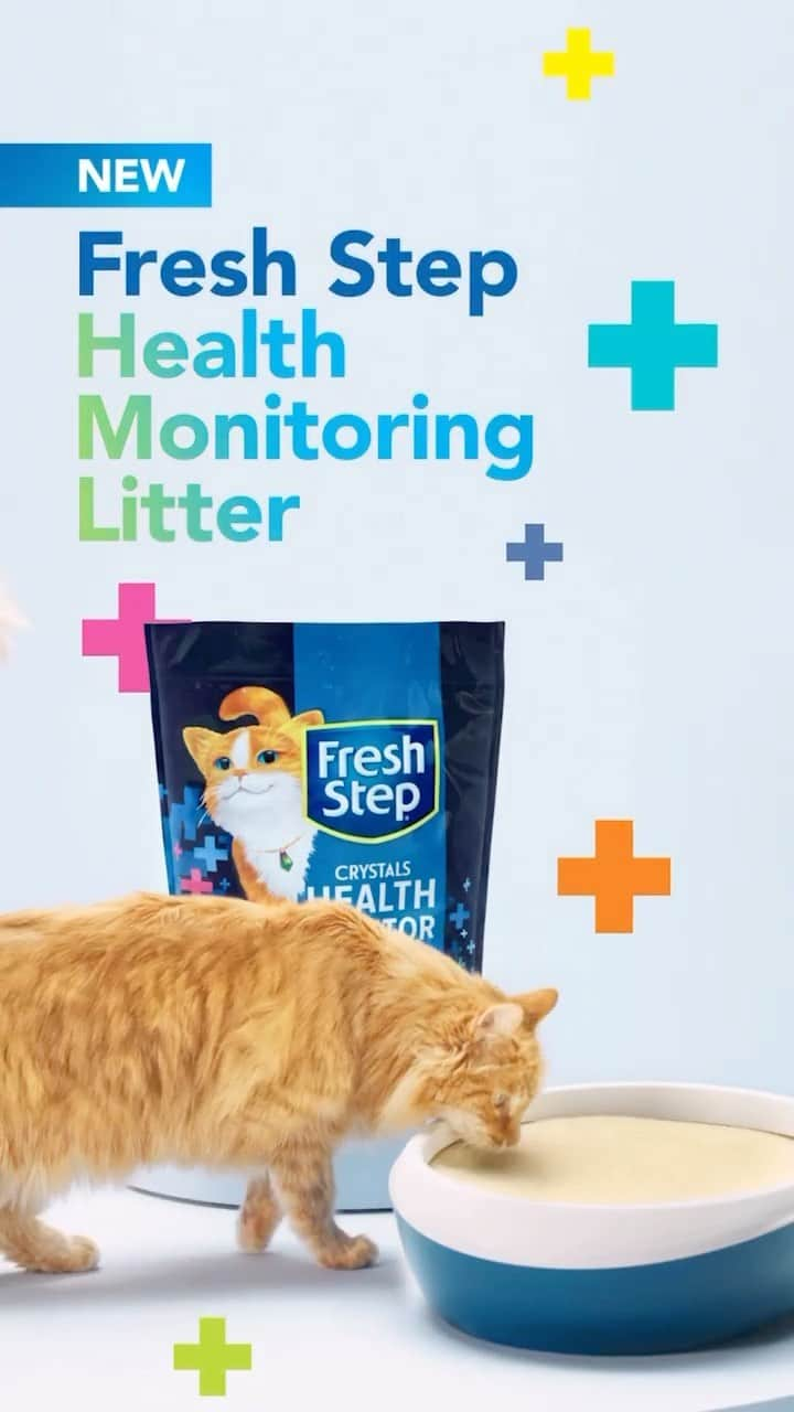 Fresh Stepのインスタグラム：「Easily monitor your cat’s health with our new color-changing Health Monitoring Litter, so you can know more and worry less. 😻💙  #CatLover #Kitty #CatLife #CatLove #CatoftheDay #LoveCats #HappyCat #freshstep #freshsteplitter #cathealth」