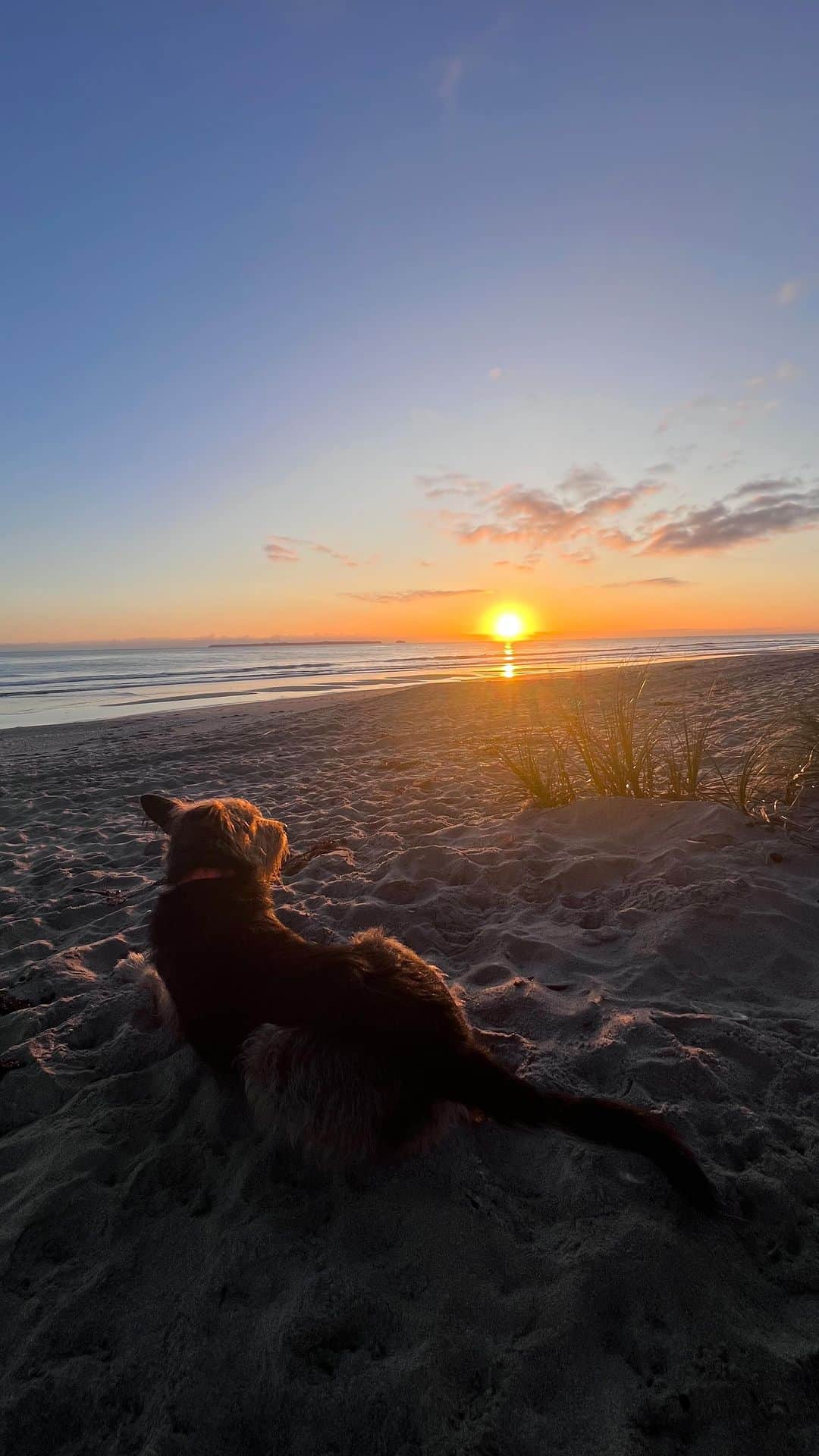 サラ・ゴスのインスタグラム：「Love a routine 🌅🛩️」