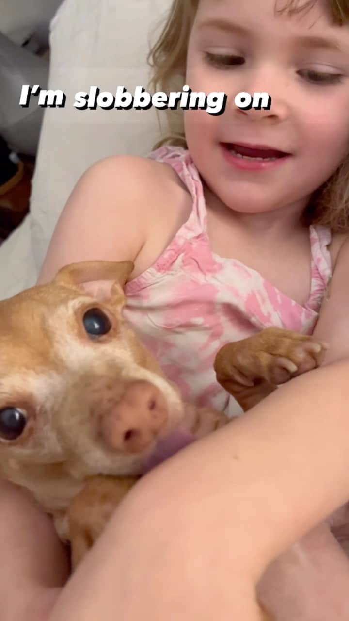 Tuna {breed:chiweenie} のインスタグラム：「That’s more like it.  #nationalkidsandpetsday」