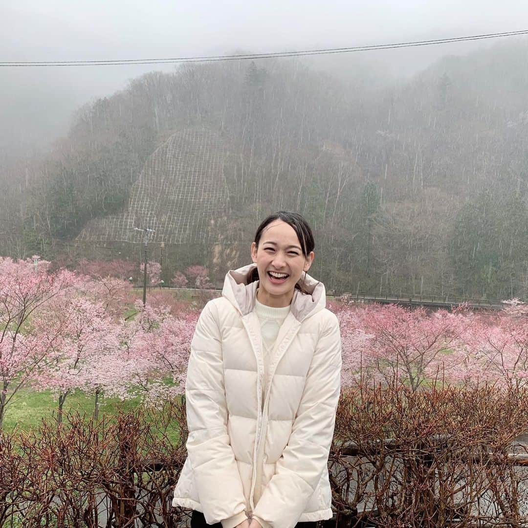 浦口史帆さんのインスタグラム写真 - (浦口史帆Instagram)「🧸🌸🧸🌸🧸  厳しい冬を越し、 岐阜県高山市の奥飛騨温泉郷にも春がやって来ました🌸  名古屋から1ヶ月ほど遅れて桜の開花を迎えた平湯温泉の#ひらゆさくら は、GW頃までが見頃✨ 6種類・約500本の桜が織りなす春色のグラデーションを楽しめます🌸🤍 雪が残る山々と桜の共演が見事です🏔✨  上高地などへのバスターミナルがある#アルプス街道平湯 では無料の#足湯 も☺️♨️ 「コタツでアイス 🍨」ならぬ 「足湯でソフト 🍦」がオススメ！ #飛騨パイン牛乳ソフトクリーム、美味でした😋💛 稀少な#飛騨山椒 を使った唐揚げに、 可愛い#さるぼぼチュロス も👏💯💮  #奥飛騨クマ牧場 のクマの赤ちゃんにも会いたいし、 またゆっくり遊びに行きたいなあ〜🧸  桜・温泉・グルメと、三拍子揃った癒し旅🤍 みなさんも、ゴールデンウィークのおでかけに是非🥳！🌸  #高山 #岐阜観光 #奥飛騨温泉郷 #平湯温泉 #飛騨牛乳」4月26日 21時57分 - uraguchi_shiho