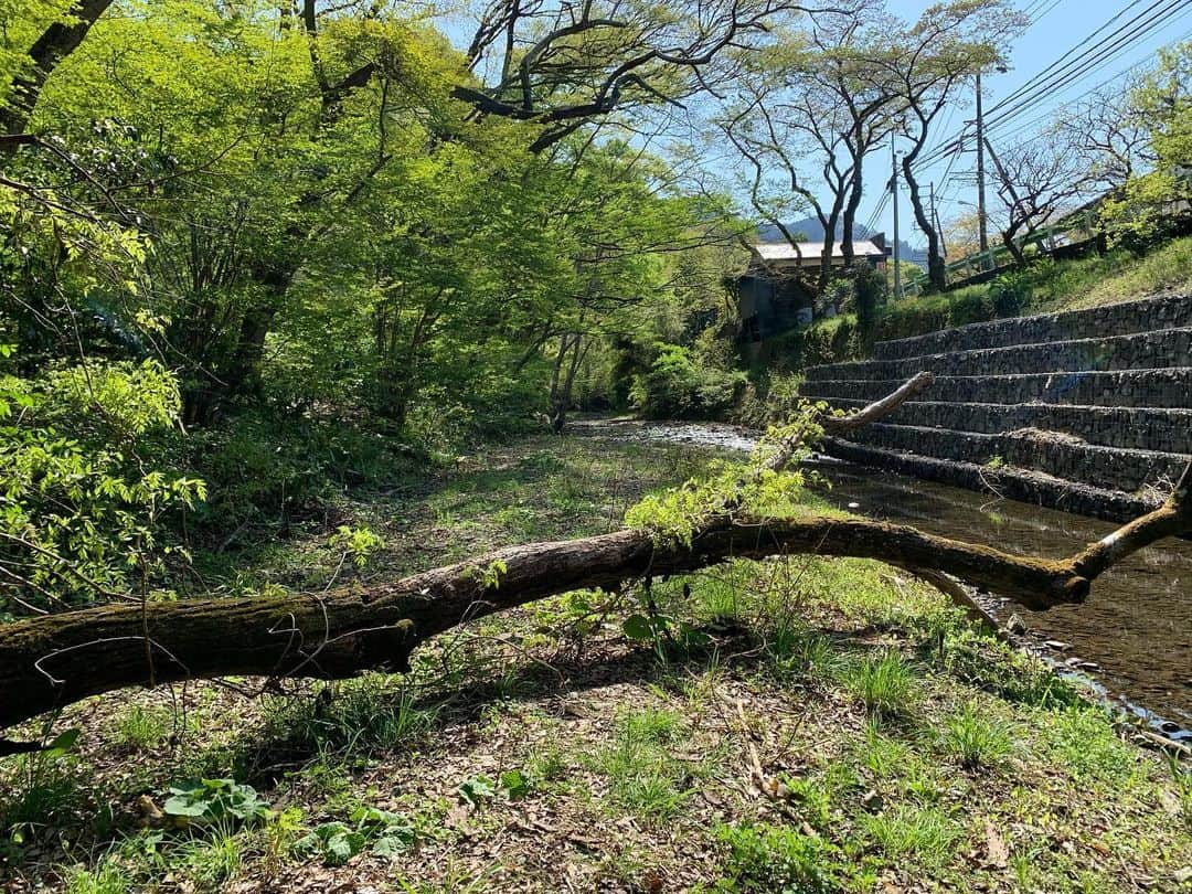 佐久間一行さんのインスタグラム写真 - (佐久間一行Instagram)「道草さんぽ・春　裏高尾〜 ご視聴ありがとうございました！来週もお楽しみに〜🌱  #佐久間一行 #道草さんぽ #春 #趣味どきっ #高尾山 #裏高尾」4月26日 22時04分 - sakuzari