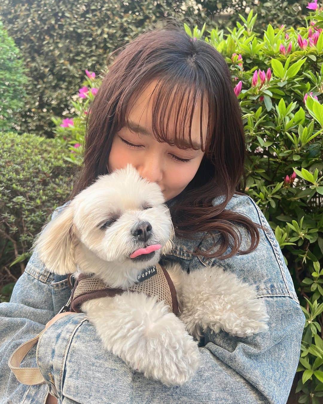 山田菜々のインスタグラム：「なかよし☺️🫶🏻✨」