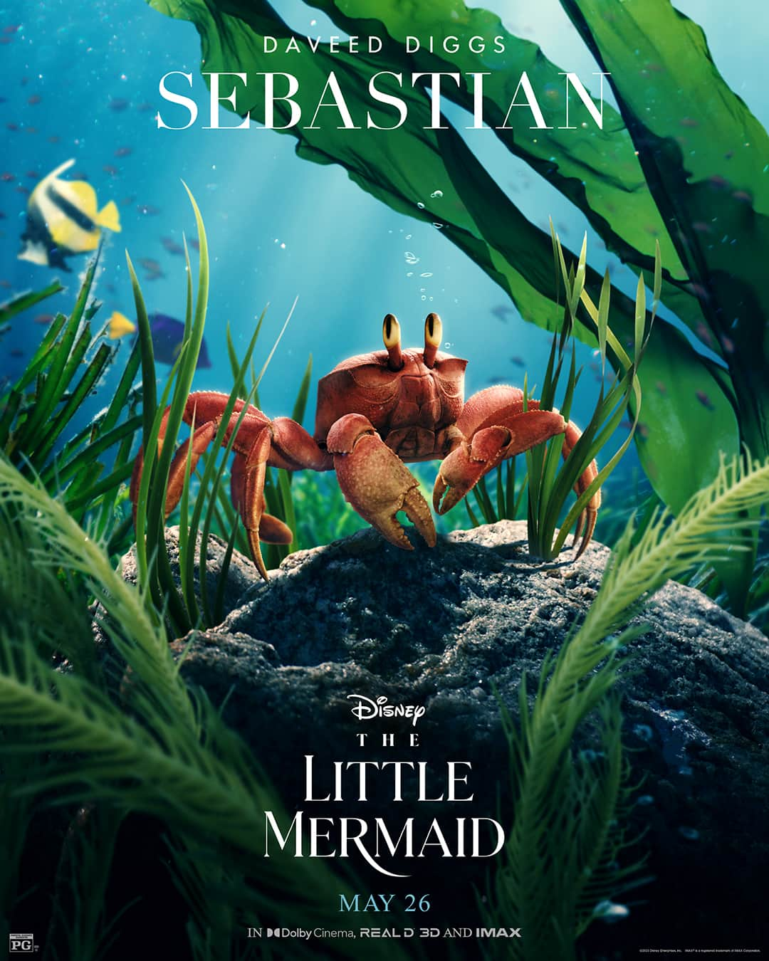 Disneyさんのインスタグラム写真 - (DisneyInstagram)「Dive into these new posters of Ariel, Ursula, King Triton, Prince Eric, Sebastian, Scuttle, and Flounder from Disney's #TheLittleMermaid. 🌊💙✨」4月27日 0時00分 - disney