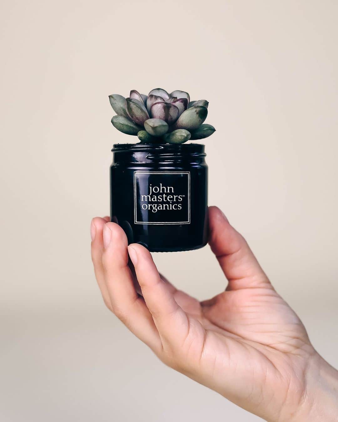 John Masters Organicsのインスタグラム：「Together, we can reduce our negative impact on our Earth. 🌎️⁠ ⁠ One way to start is by reducing your consumption. Consider buying frequently-used products in bulk, and make the switch to brands with sustainable packaging. 🤍⁠ ⁠ Repurpose empty packaging like small jars by using them as mini pots for your plants, flowers or herbs. Empty spray bottles can be used to mist your delicate plants and herbs. 🌱⁠ ⁠ Lastly, recycle any products or packaging when applicable. Make sure to review your local recycling rules and regulations to ensure you are recycling products properly. ♻️⁠ ⁠ Use the link in our bio to learn more about how you can reduce your negative impact on the Earth, and how we're working on reducing ours. 🤍」