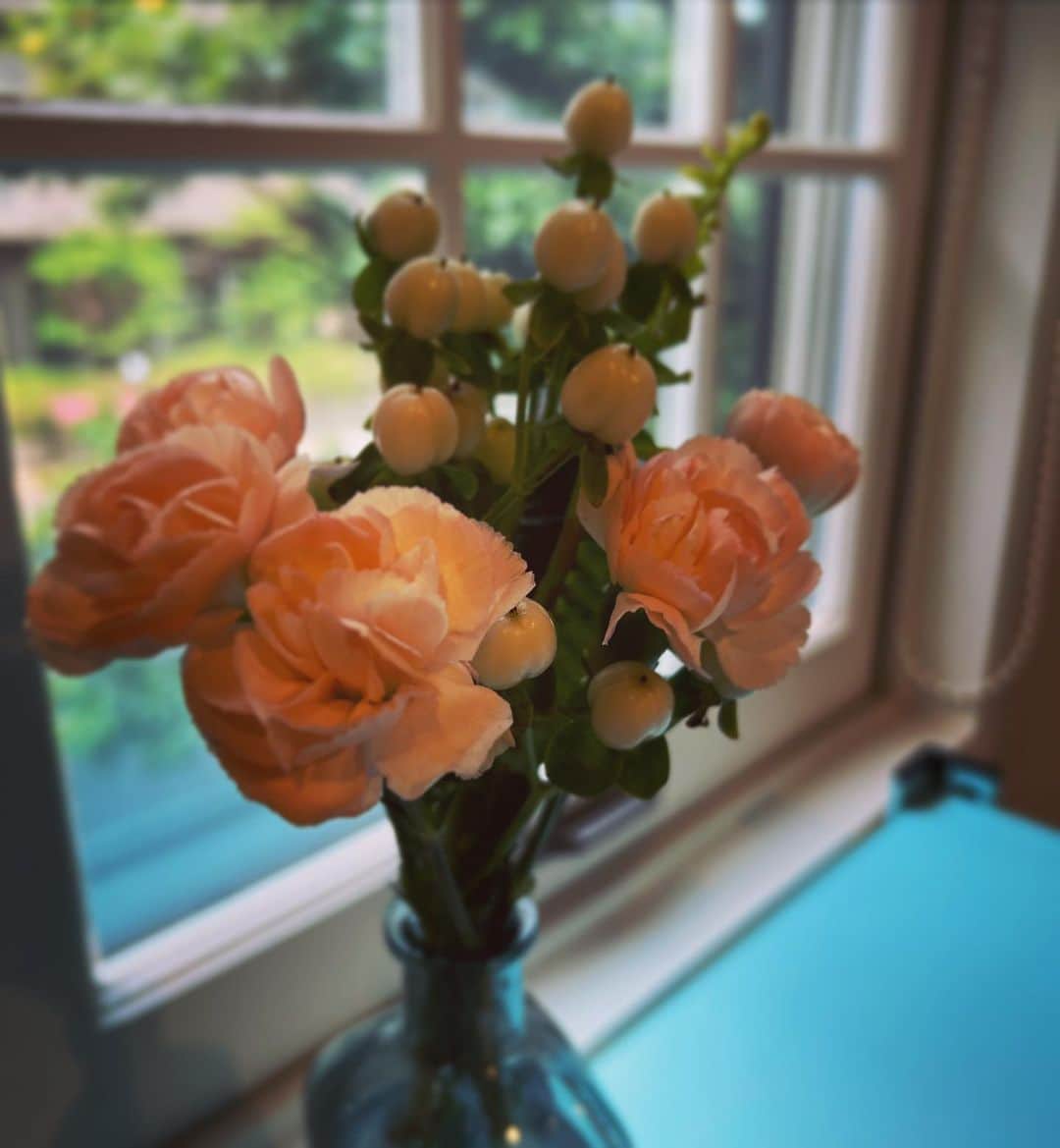 tetsuyaのインスタグラム：「#stellabloom」