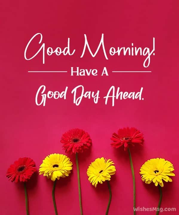 メリッサ・ジョーン・ハートさんのインスタグラム写真 - (メリッサ・ジョーン・ハートInstagram)「Good morning! I hope you all have a happy Wednesday!」4月26日 23時08分 - melissajoanhart