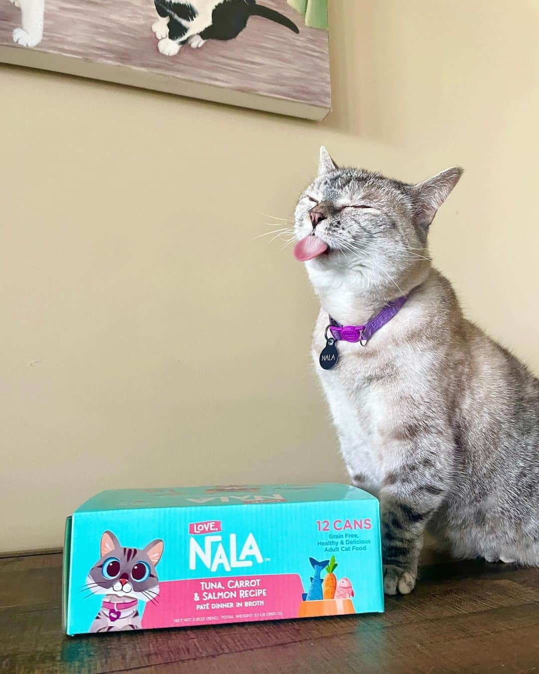 nala_catさんのインスタグラム写真 - (nala_catInstagram)「@lovenalaco is now available on @amazon prime delivery 🚚💕🤤  #lovenalaco #lovenala #nalacat #meow #catsofinstagram」4月26日 23時03分 - nala_cat