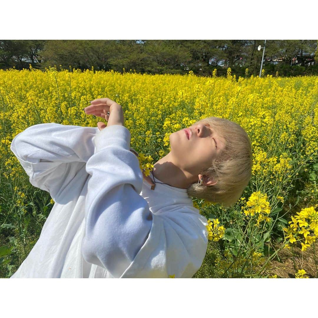 古瀬直輝さんのインスタグラム写真 - (古瀬直輝Instagram)「この日本当に太陽が綺麗だった💭」4月26日 23時11分 - kosenaoki_