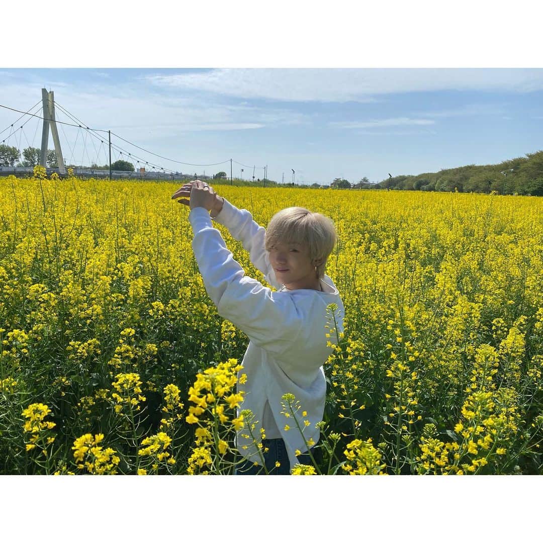 古瀬直輝のインスタグラム：「この日本当に太陽が綺麗だった💭」