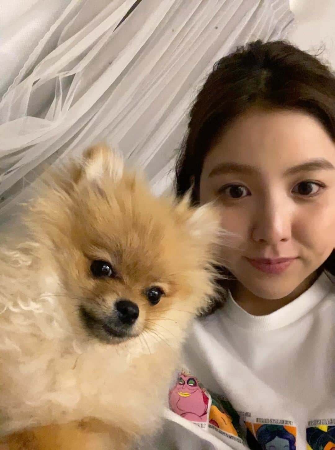 増井なぎさのインスタグラム：「相棒感増してきた  #8ヶ月 #ポメラニアン #♀️ 一年で人間にして20歳になるから今はティーンエイジャーなニコ☺︎」