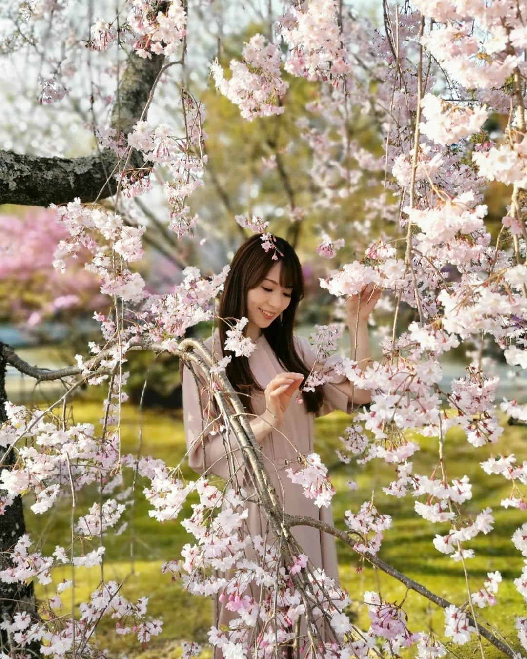 畠山優梨枝さんのインスタグラム写真 - (畠山優梨枝Instagram)「桜の季節に京都へ行ってきました🌸 こちらは仁和寺✨ 桜は満開でとってもキレイでした😍 タイミングばっちり🙋 やっぱり京都の桜はなんだか特別♥️♥️  #春#桜#花見#お花見#ピンク#旅#旅行#京都#京都旅行#仁和寺#桜の名所#そうだ京都行こう#kyoto#kyotojapan#sakura」4月27日 0時03分 - yurieyurieee