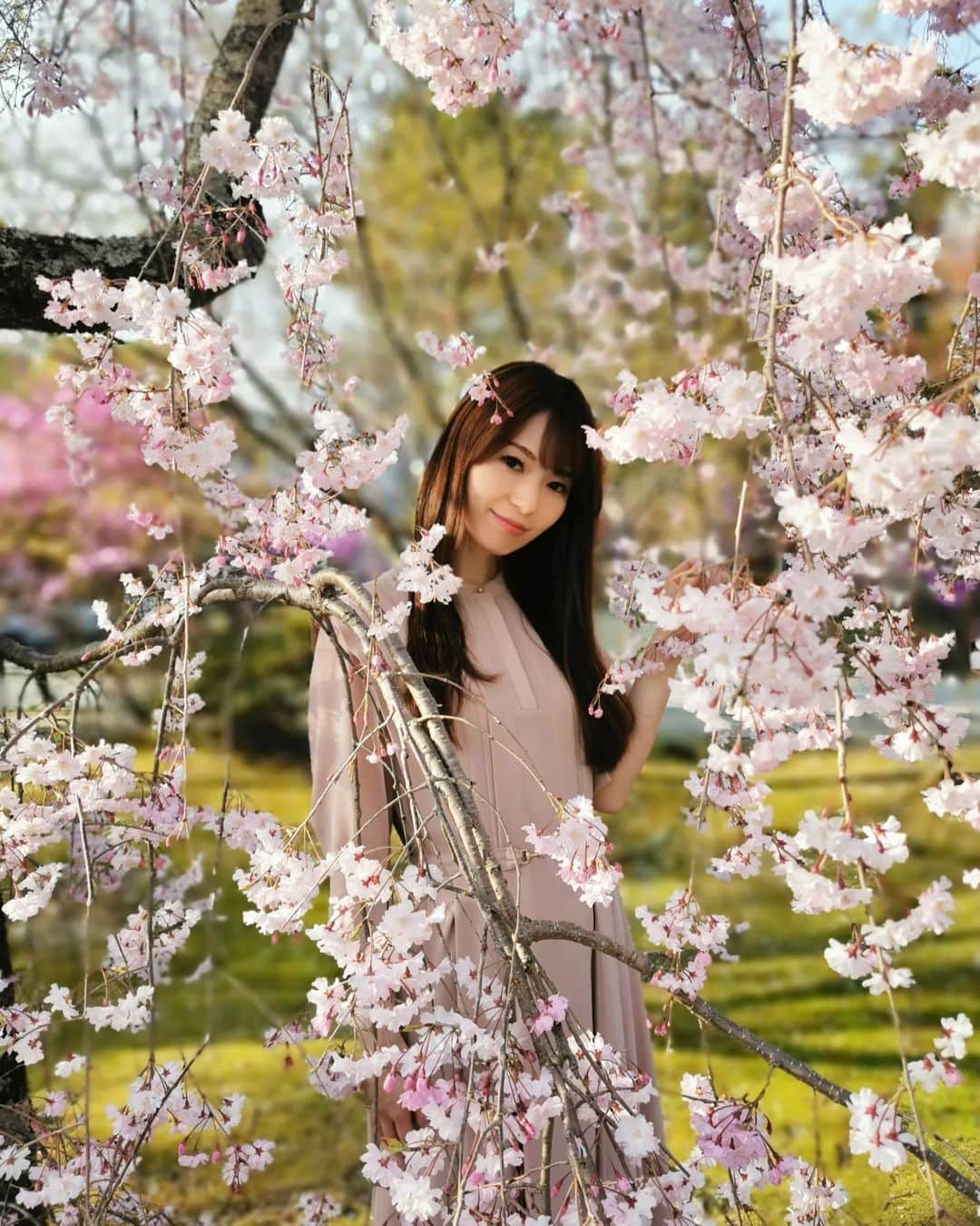 畠山優梨枝のインスタグラム：「桜の季節に京都へ行ってきました🌸 こちらは仁和寺✨ 桜は満開でとってもキレイでした😍 タイミングばっちり🙋 やっぱり京都の桜はなんだか特別♥️♥️  #春#桜#花見#お花見#ピンク#旅#旅行#京都#京都旅行#仁和寺#桜の名所#そうだ京都行こう#kyoto#kyotojapan#sakura」