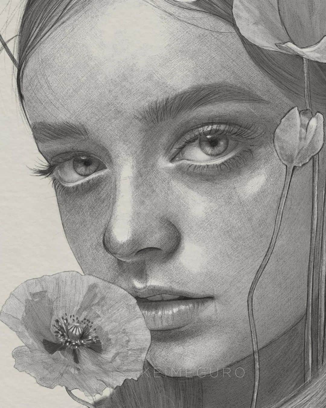 目黒ケイさんのインスタグラム写真 - (目黒ケイInstagram)「Poppy #flora ❤️  Pencil and graphite on watercolor paper / Scanned and edited in @photoshop」4月27日 0時17分 - keimeguro