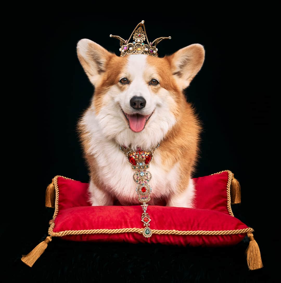 バトラー&ウィルソンさんのインスタグラム (バトラー&ウィルソンbutlerandwilson)