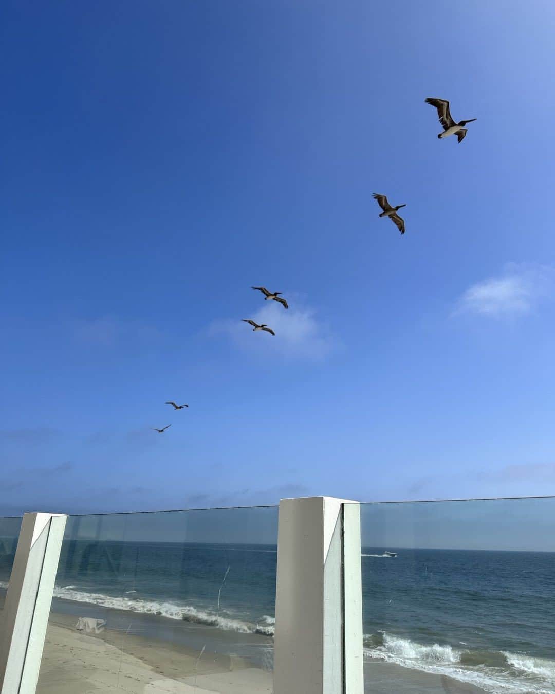 ロージー・オドネルのインスタグラム：「look up #nature」