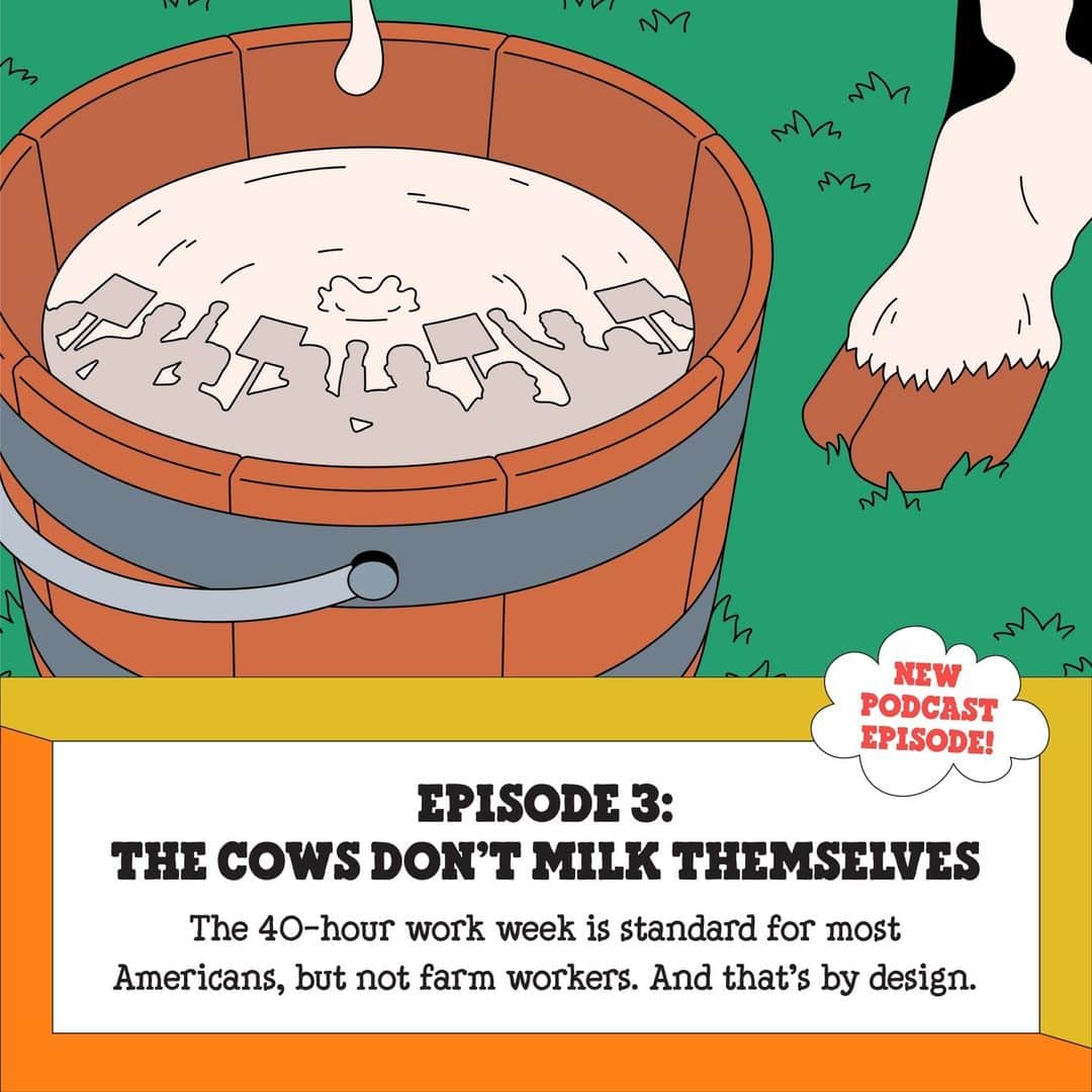 Ben & Jerry'sのインスタグラム：「Did you know that without migrant farm workers, the price of dairy would be twice as expensive? Dairy farming is one of the most challenging jobs in agriculture and, like a lot of farm work, has notoriously weak legal protections for workers, leading to long hours, poor pay, and unsafe conditions. In the latest episode of our podcast Into The Mix, host @smashfizzle tells the story of a group of farmworkers who came together after a senseless tragedy to demand change. Listen at the link in our bio!」