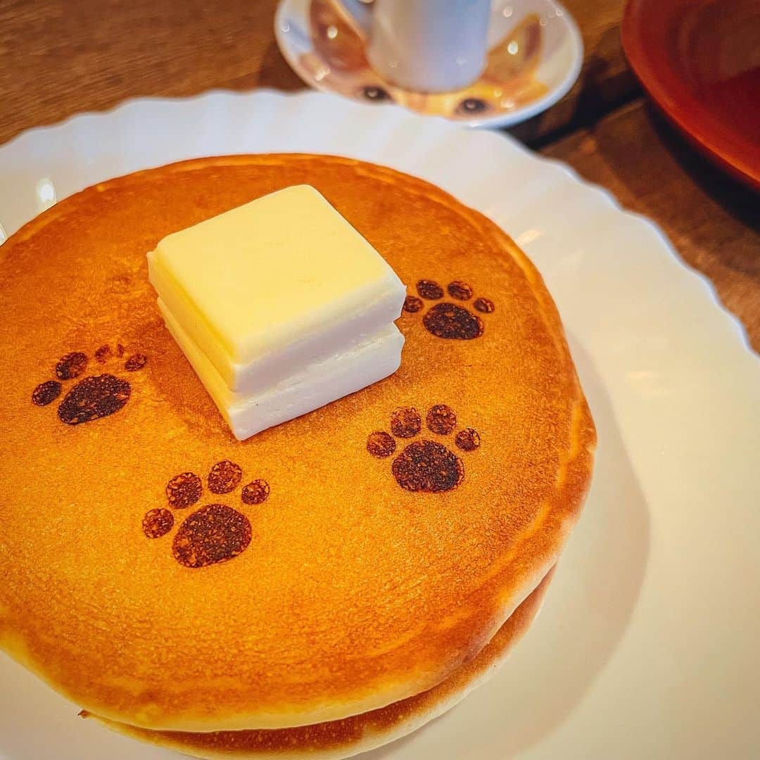 yuxuki wagaさんのインスタグラム写真 - (yuxuki wagaInstagram)「1.🐾かわいい。 2.学生時代よく行ってたお店のカレーは久々に行ったら自分のカレーへの解像度上がってて楽しかったGood」4月27日 3時11分 - yuxuki