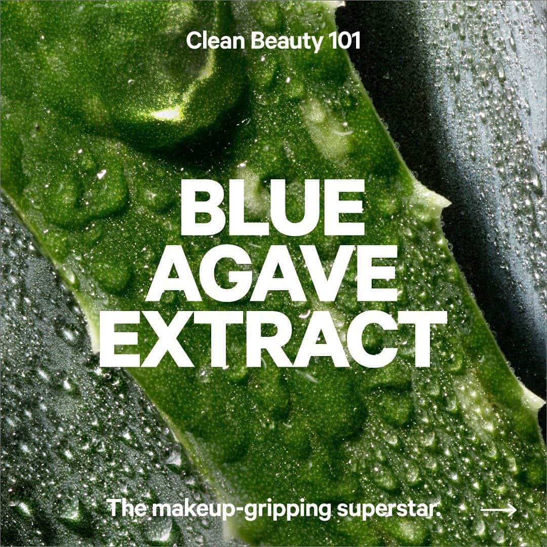 Milk Makeupさんのインスタグラム写真 - (Milk MakeupInstagram)「What gives our #HydroGrip fam its makeup-gripping superpowers? You’re looking at it 👀 Meet blue agave extract. This powerhouse extract comes from the agave tequilana plant and, uh, if that sounds familiar…yes, it’s the base ingredient in tequila 😜  Don’t get it twisted though. Blue agave comes with a ton of good-for-you benefits. Because it needs little moisture to survive in the desert, it’s a champ at storing water 💦 So its nectar not only forms an invisible grippy layer to lock in your makeup, it also helps to boost hydration and rejuvenate your skin.   Head to our stories to put more of your #HydroGrip knowledge to the test 📝😏」4月27日 3時44分 - milkmakeup