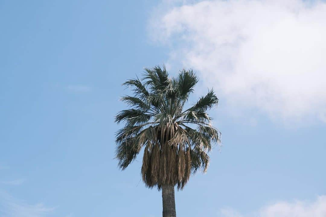 山田愛さんのインスタグラム写真 - (山田愛Instagram)「¡Hola! Another day in Barcelona 🤍  I’m loving it 🥹🧡  Girrrl I think you’re very talented. #photography  📸 by @tatsustagram3   #barcelona #spain #🇪🇸 #tattoo #art #coffee #hiking #soccer #basketball」4月27日 3時45分 - aiyamada_