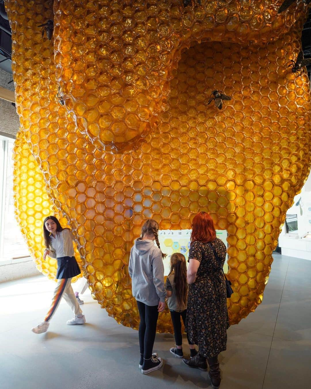 アメリカ自然史博物館さんのインスタグラム写真 - (アメリカ自然史博物館Instagram)「The Museum’s Richard Gilder Center for Science, Education, and Innovation is open to the public. Designed by @studiogang, the Gilder Center includes an insectarium, a butterfly vivarium, floor-to-ceiling exhibits featuring scientific collections, a 360-degree immersive experience, a redesigned library, classrooms, and more.  Tickets are now available!  Photos: A. Keding / © AMNH #nyc #upperwestside #architecturedesign #gildercenter #amnh」4月27日 4時40分 - amnh