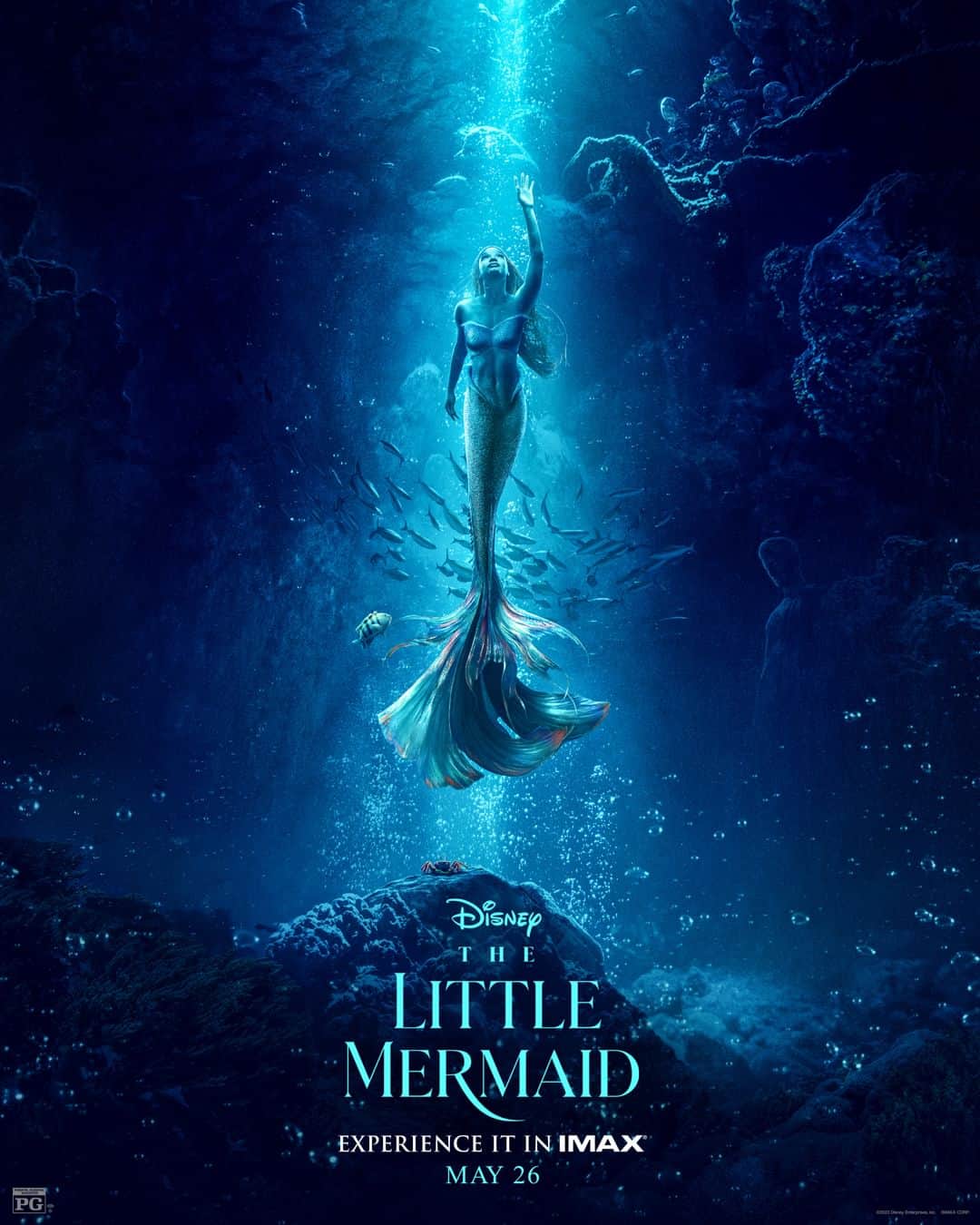 Walt Disney Studiosのインスタグラム：「Experience all the wonder of Disney's #TheLittleMermaid with IMAX’s Expanded Aspect Ratio. In theaters May 26. Tickets on sale now!」