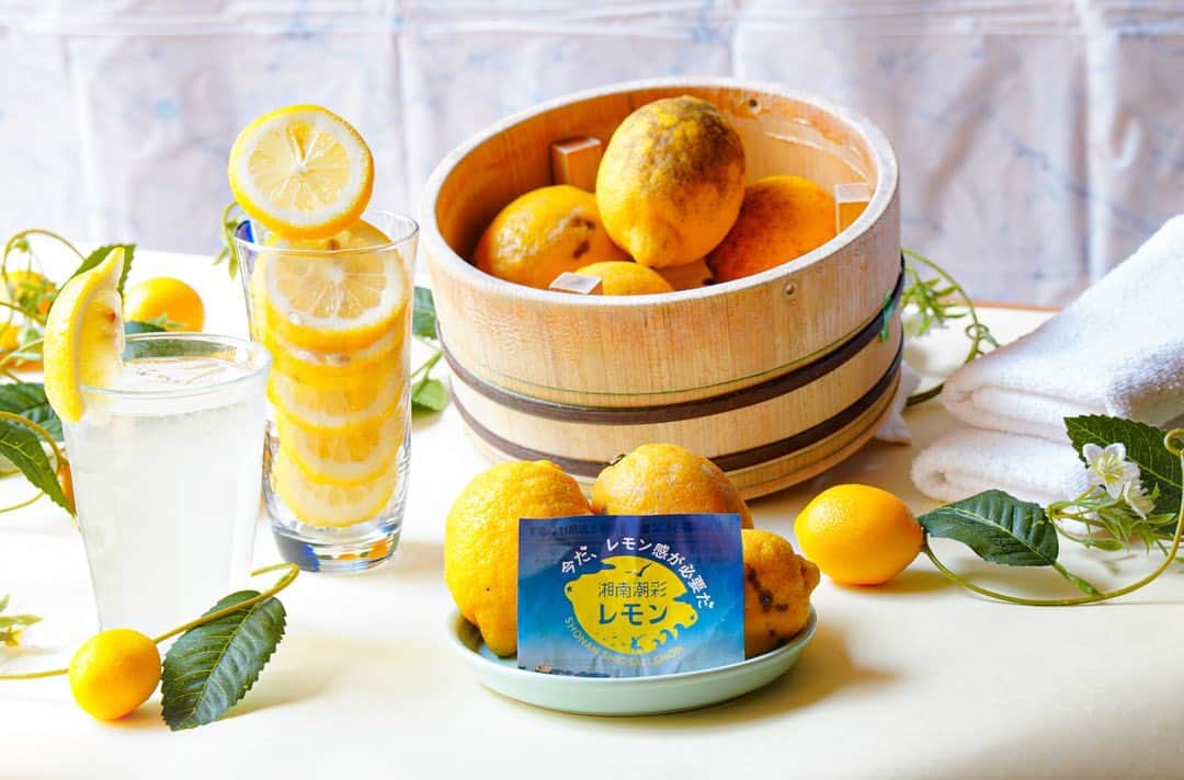 箱根小涌園 ユネッサンのインスタグラム：「5月は、#湘南潮彩レモンの湯 🍋 大浴場のレモンの湯に加えて、 湘南潮彩レモンをモチーフにしたフレッシュで可愛らしい#コンセプトルーム 🍋 初夏にぴったりの特製サワーなど盛りだくさんで開催！♨️  #サスティな  #おすすめ #vlog #レモン #ボザッピィ #ユネッサン #箱根 #hakone #yunessun #ホテル #箱根ホテル小涌園 #hotel #onsen #hotsprings #pool #sightseeing #travelhakone #カップル #デート #ファミリー #旅行 #ファミリー旅行 #デートスポット #旅行好きな人と繋がりたい  #旅行好き #箱根旅行 #湘南潮彩レモン」