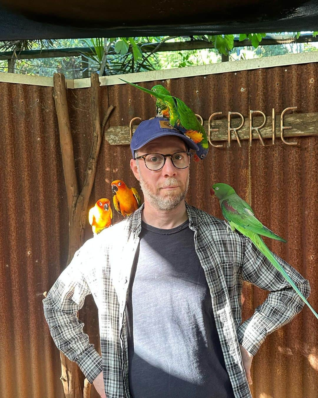 ケヴィン・サスマンさんのインスタグラム写真 - (ケヴィン・サスマンInstagram)「Animals are nerds, too.   Amazing time with the rescues at Cooberrie Park Wildlife Sanctuary, and the folks at @millenniumcomic shop!」4月27日 15時07分 - kevsussman