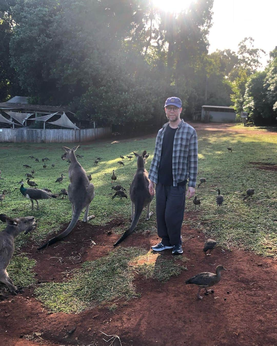 ケヴィン・サスマンさんのインスタグラム写真 - (ケヴィン・サスマンInstagram)「Animals are nerds, too.   Amazing time with the rescues at Cooberrie Park Wildlife Sanctuary, and the folks at @millenniumcomic shop!」4月27日 15時07分 - kevsussman