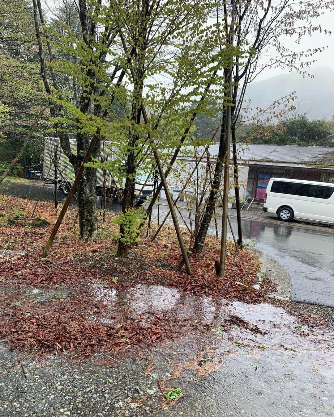吉村恵里子さんのインスタグラム写真 - (吉村恵里子Instagram)「・ こんにちは🌞 昨日、TIMEのロケで山梨県河口湖に行ってきました！ 前からずっと楽しみにしていたロケで、あとはお天気次第！と思っていたのですが、なんと土砂降りでした。☔️笑  月曜と今日はこんなに天気いいのに、こんなこともあるんですねぇ🤣  ここまで雨降る？風吹く？というほどの荒れ具合。なかなか止まずタイミングを待っての撮影でした。  晴れれば富士山が綺麗に見え、絶景。見頃を迎えている芝桜とのコントラストが最高らしいのですが、富士山はご機嫌斜めで…（ ｉ _ ｉ ）何処へ〜。  ですが雨に濡れた芝桜は綺麗でしたし空気が美味しかったです☺️  関西出身の私にとって富士山を側で見たことがなく残念でしたがまたリベンジしようと思います！  #河口湖 #富士本栖湖リゾート #富士芝桜まつり #芝桜 #富士山 #ロケ」4月27日 16時10分 - yoshimura_eriko