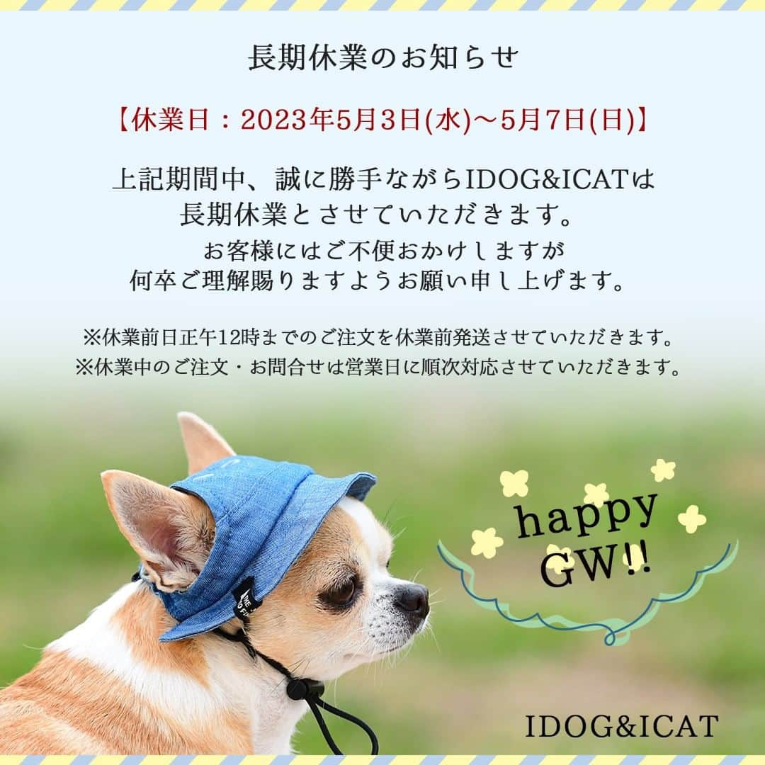 iDog&iCatのインスタグラム