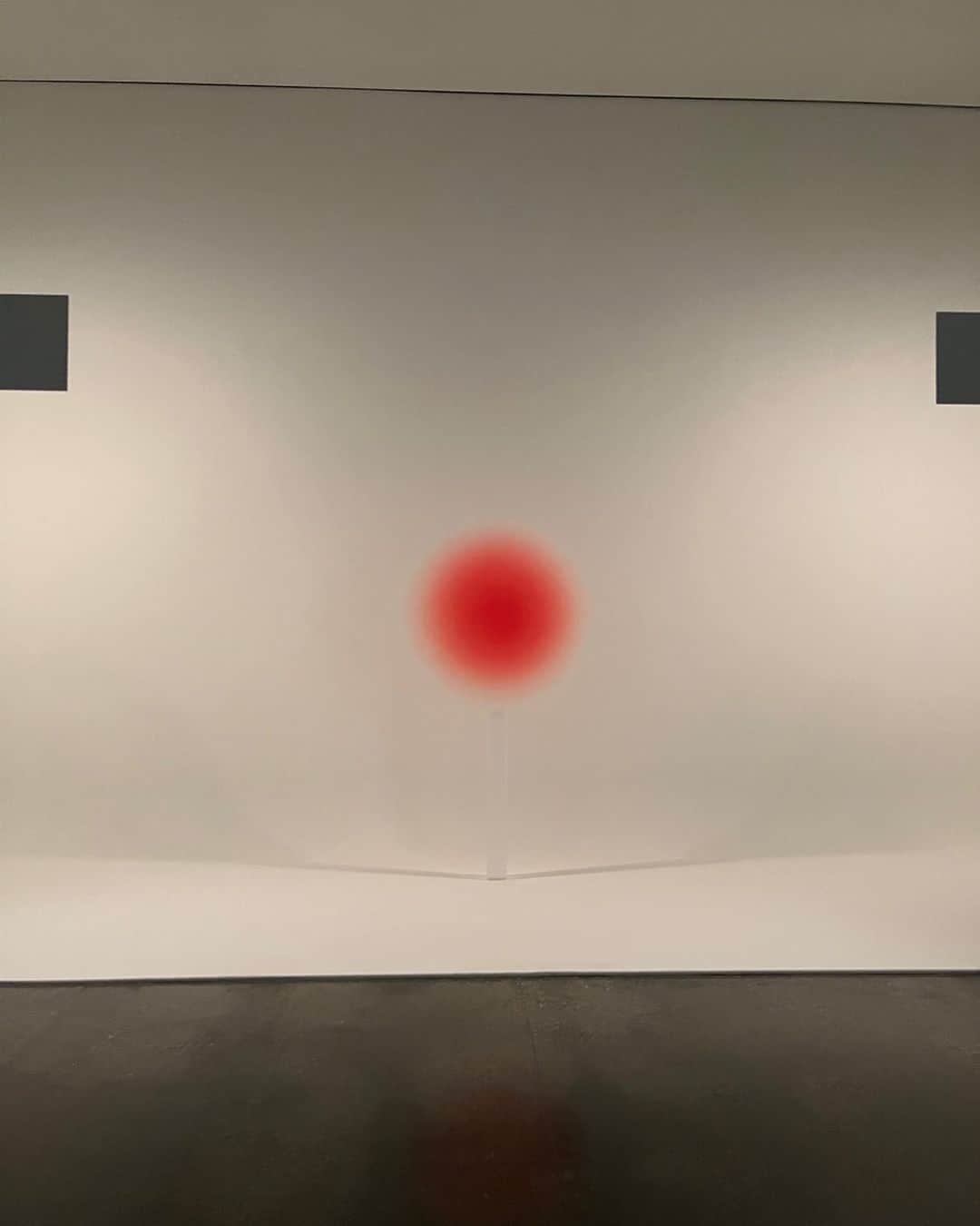 新関碧のインスタグラム：「とっても釘付けになった🔴  これ、光ってないんです。 棒の上に置いてあるんです。 どういうこと！？ 何回見てもわからなくて、近づいたり、遠のいたり、だいぶ滞在しちゃいました。 錯覚って面白いですね、、」