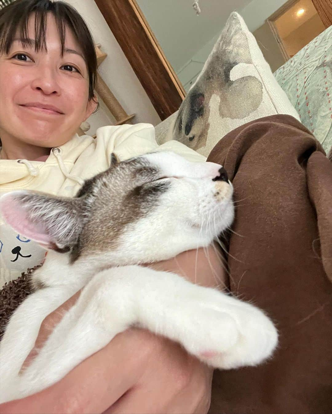 小野真弓さんのインスタグラム写真 - (小野真弓Instagram)「おはようございます😆 すっきり晴天＼(^o^)／✨  ラフラボの撮影✨🥼 と、 ひさーーしぶりの、食事会🌸✨  ラフラボは今年、番組が始まって、 11年目になります🥹 準レギュラー４人で、 それぞれの撮影なので、、 普段お会いする事がなかなかないのですが、  スタッフさんも、出演者も、 すっかりファミリー😆❤️  基本的に、 どこかに属する事が少ない 単独行動のお仕事なので、、 こうやって長きに渡りご一緒させて頂くって、 本当に有り難いのです🥹💘  属すると言えば、 所属事務所サンミュージック歴も２５年。 気付けば、人生の半分以上お世話になっています🙇‍♀️ これも本当に有難いこと✨🥹  人とのご縁も、 動物とのご縁も、、 大切にしたいですにゃ🙋‍♀️😆  今日も良い一日にしましょう🍀✨^_^  #お仕事かーさん #フジテレビ#ラフラボ#研究員#ミニ情報番組 #関東ローカル#youtubeでも見られます   #山本高広　さん @_yamamoto_takahiro_  #鈴木勝大　くん @katsuhiro___suzuki  #山崎あみ　ちゃん @__ami.yamazaki__   #犬と猫のいる暮らし#犬猫日記#木更津暮らし」4月27日 7時35分 - hanaharuaroi