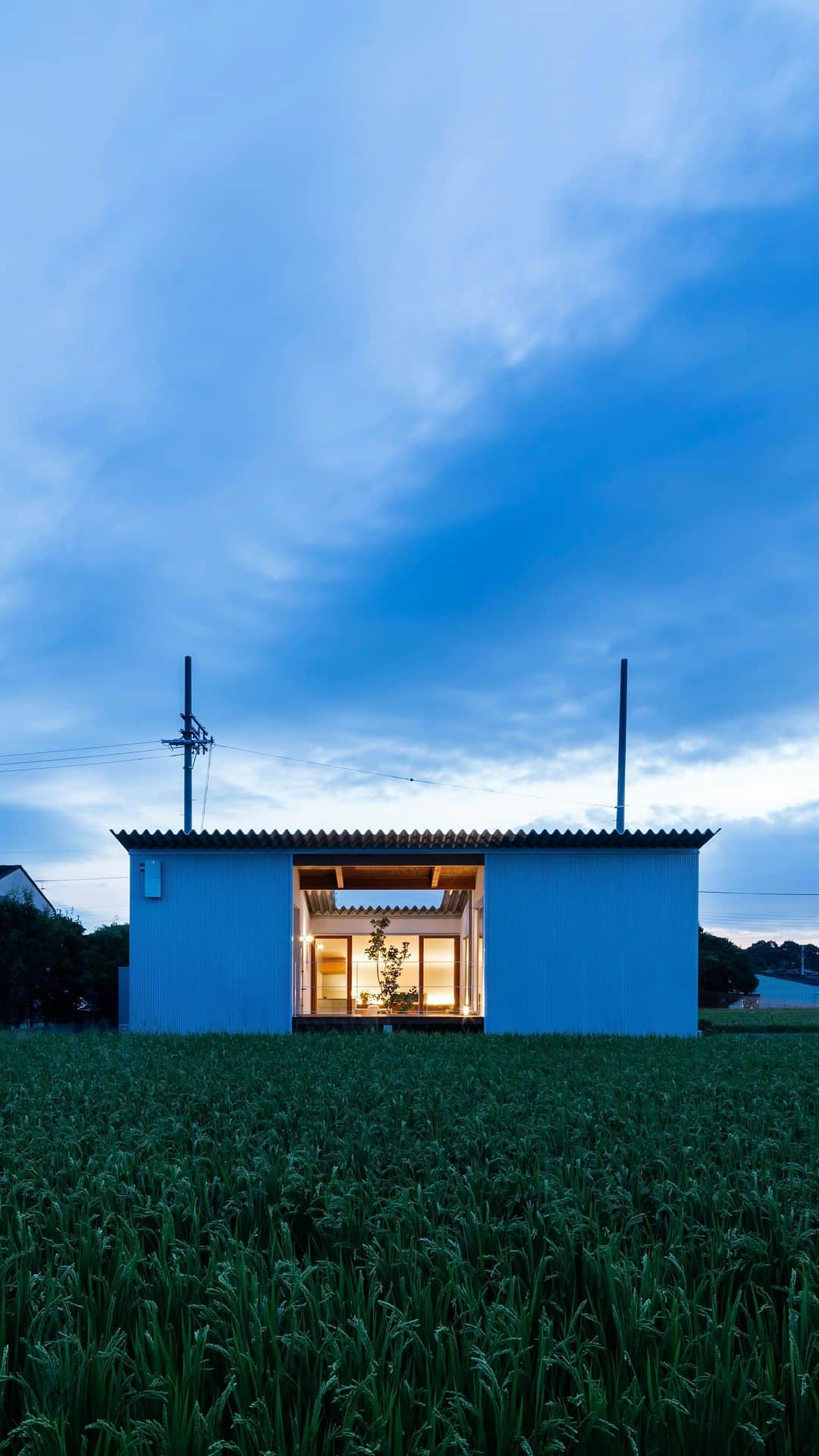 Horibe Associates co., ltd. のインスタグラム：「・ House in Mita  田園風景とつながる中庭のある平屋の住宅  #architecture #courtyardhouse #courtyardgarden #中庭のある家 #中庭のある暮らし #中庭のある平屋 #大阪建築家　#建築家とつくる家」