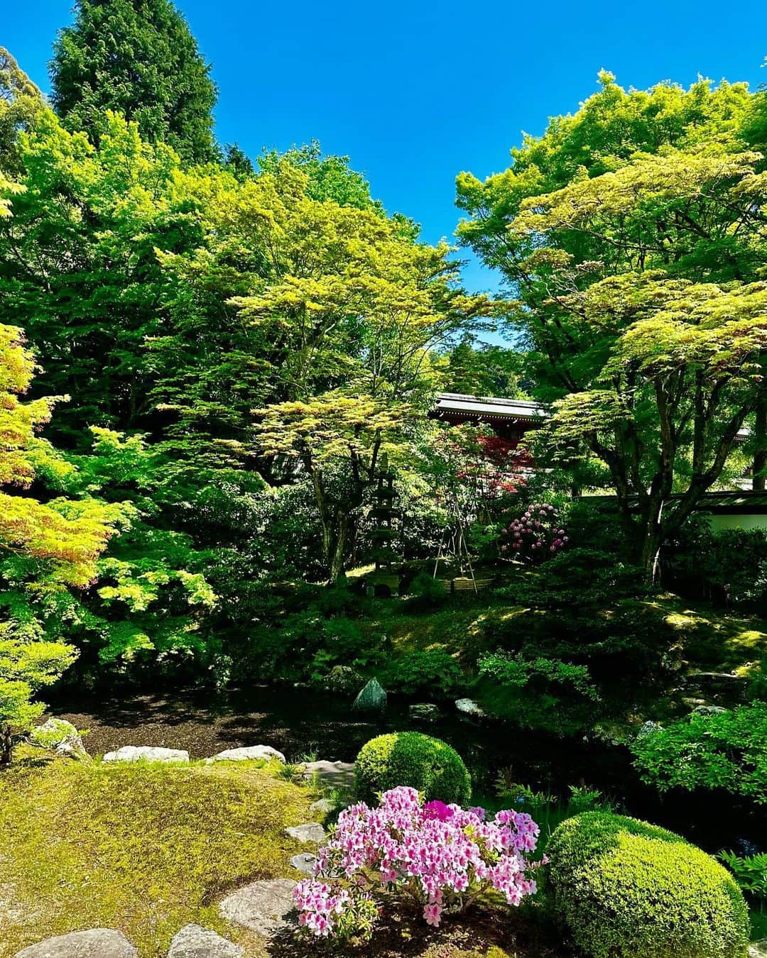 谷川じゅんじさんのインスタグラム写真 - (谷川じゅんじInstagram)「Kyoto Mindful Journeys. 幾度となく出かけた京都なのに。初めてご縁で御寺泉涌寺さんへ。凛と佇む空気に穏やかで優しい風が流れるこの場所は永きに渡り密やかに守り伝えられてきた、大切なものやことがありました。また行きたい。 #鬼瓦の目が光る #goodvibesonly #goodnighbors #thisisjapan」4月27日 8時23分 - junjitanigawa