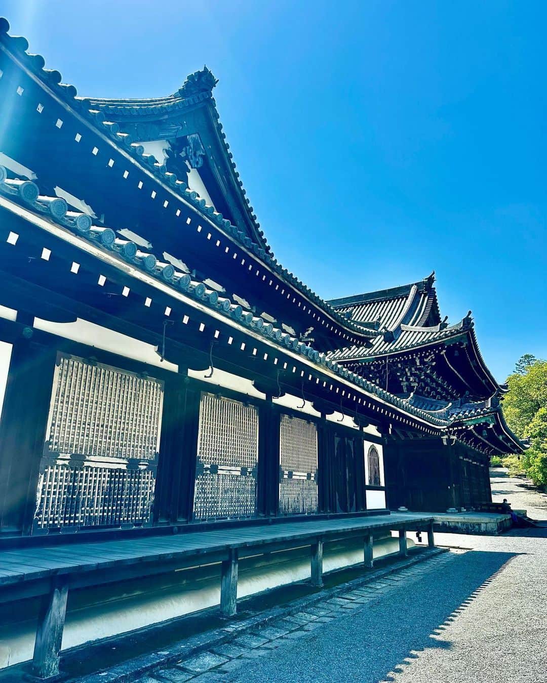 谷川じゅんじさんのインスタグラム写真 - (谷川じゅんじInstagram)「Kyoto Mindful Journeys. 幾度となく出かけた京都なのに。初めてご縁で御寺泉涌寺さんへ。凛と佇む空気に穏やかで優しい風が流れるこの場所は永きに渡り密やかに守り伝えられてきた、大切なものやことがありました。また行きたい。 #鬼瓦の目が光る #goodvibesonly #goodnighbors #thisisjapan」4月27日 8時23分 - junjitanigawa