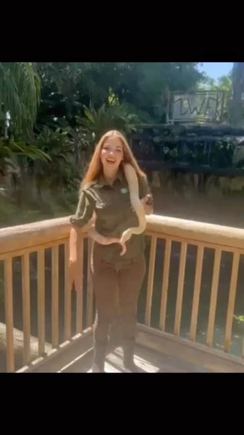 Zoological Wildlife Foundationのインスタグラム