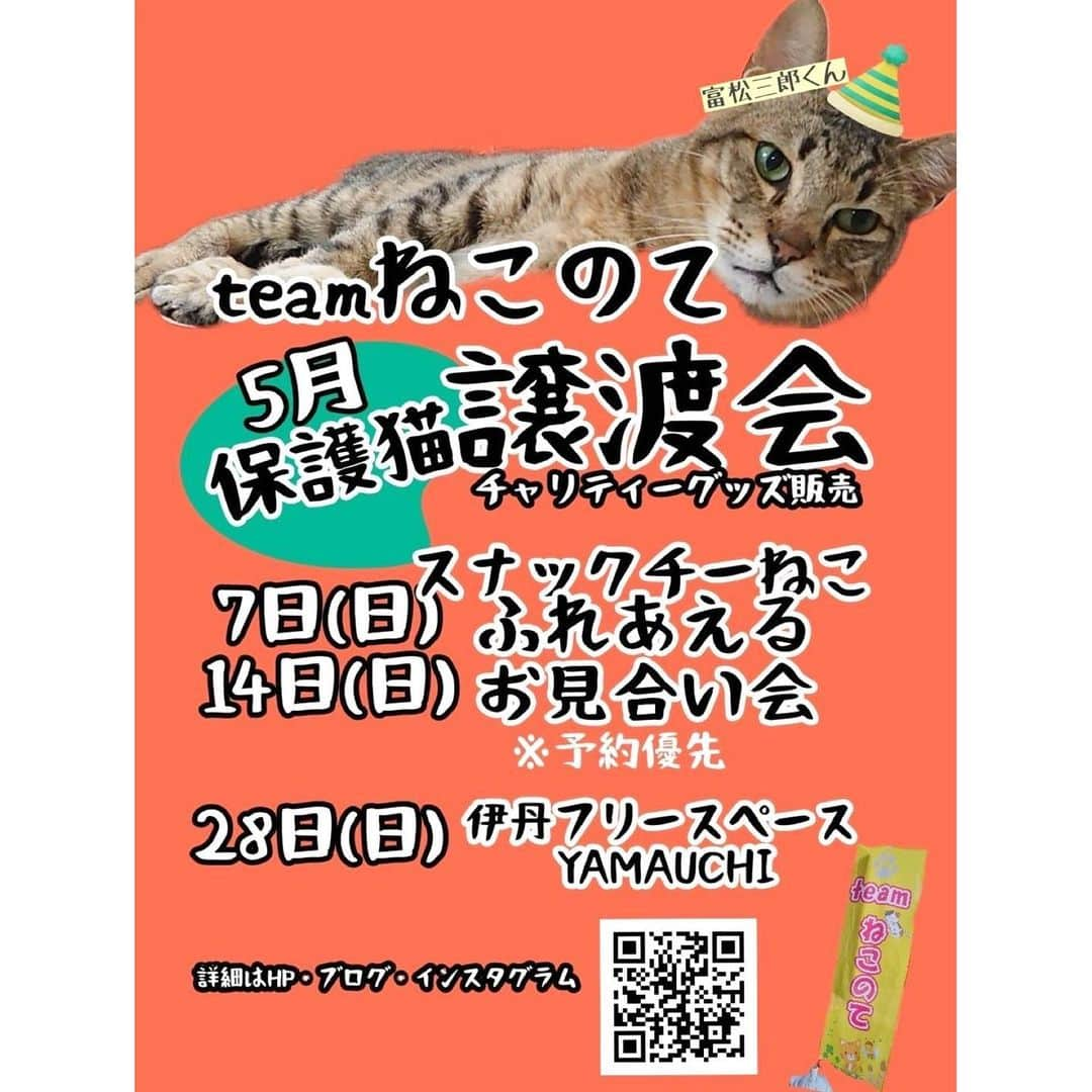 八、おこめさんのインスタグラム写真 - (八、おこめInstagram)「@nekonote0401 📢5月の予定お知らせです♩ 予約制の『ふれあえるお見合い会』は teamねこのての代表や猫の預かりスタッフさんとじっくりゆっくりお話ししながら里親募集中の参加猫ちゃんとお見合いができます✨ ・猫ちゃんを家族に迎えたいけど初めてなので心配…。 ・2匹目の猫ちゃんを迎えたいけど相性ってあるのかな？ など、わからない事や気になる事も相談できますので 猫ちゃんとの新しい生活をお考えの方はぜひ お見合い会へ一度いらしてみて下さい😸❣️ 詳しい情報は @nekonote0401 @nekonotecat  のアカウントにてご確認下さい🐾 #teamねこのて #シェルター便り #里親募集 #保護猫 #預かりボランティア #譲渡会 #猫のシェルター #伊丹市 #お掃除ボランティア #ねこ部 #cat #ねこ #猫 #ネコ」4月27日 9時44分 - naomiuno