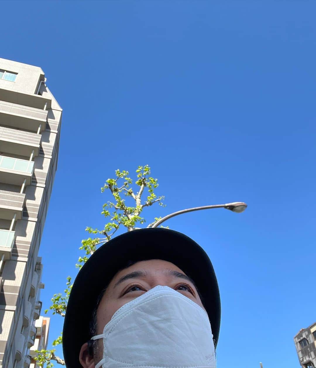 与座よしあきのインスタグラム：「今日は沖縄みたいな気持ちいい天気だ！」